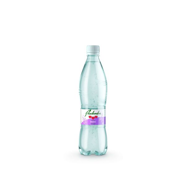 RADENSKA Bezeg 0,5 L - plastenka